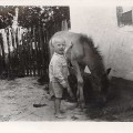 Summer of 1961. The first horse of Vi :)