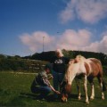 Ірландія, Ен МакКефрі та її коні