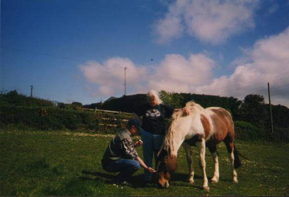 Ірландія, Ен МакКефрі та її коні